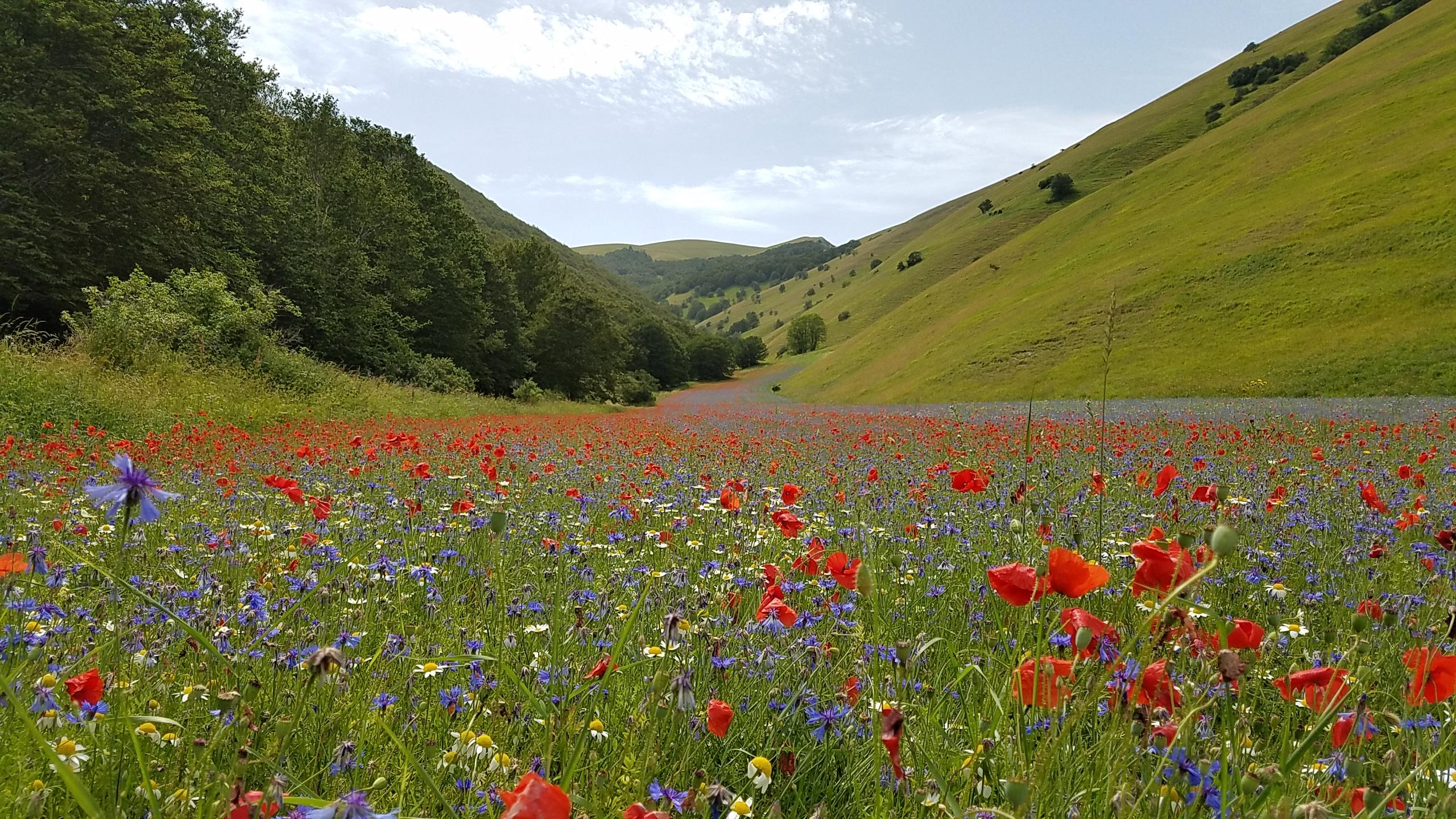 castelluccio5