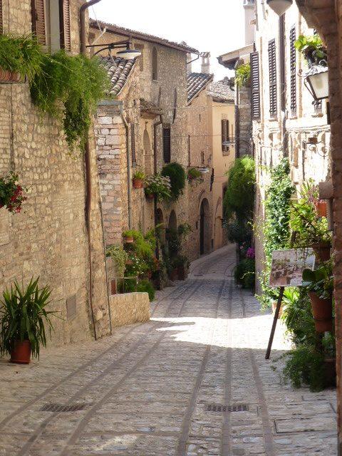 spello3