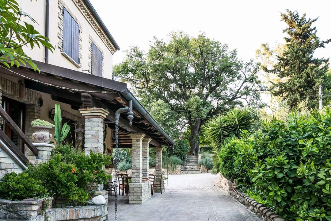 Agriturismo Col Morino Pineto